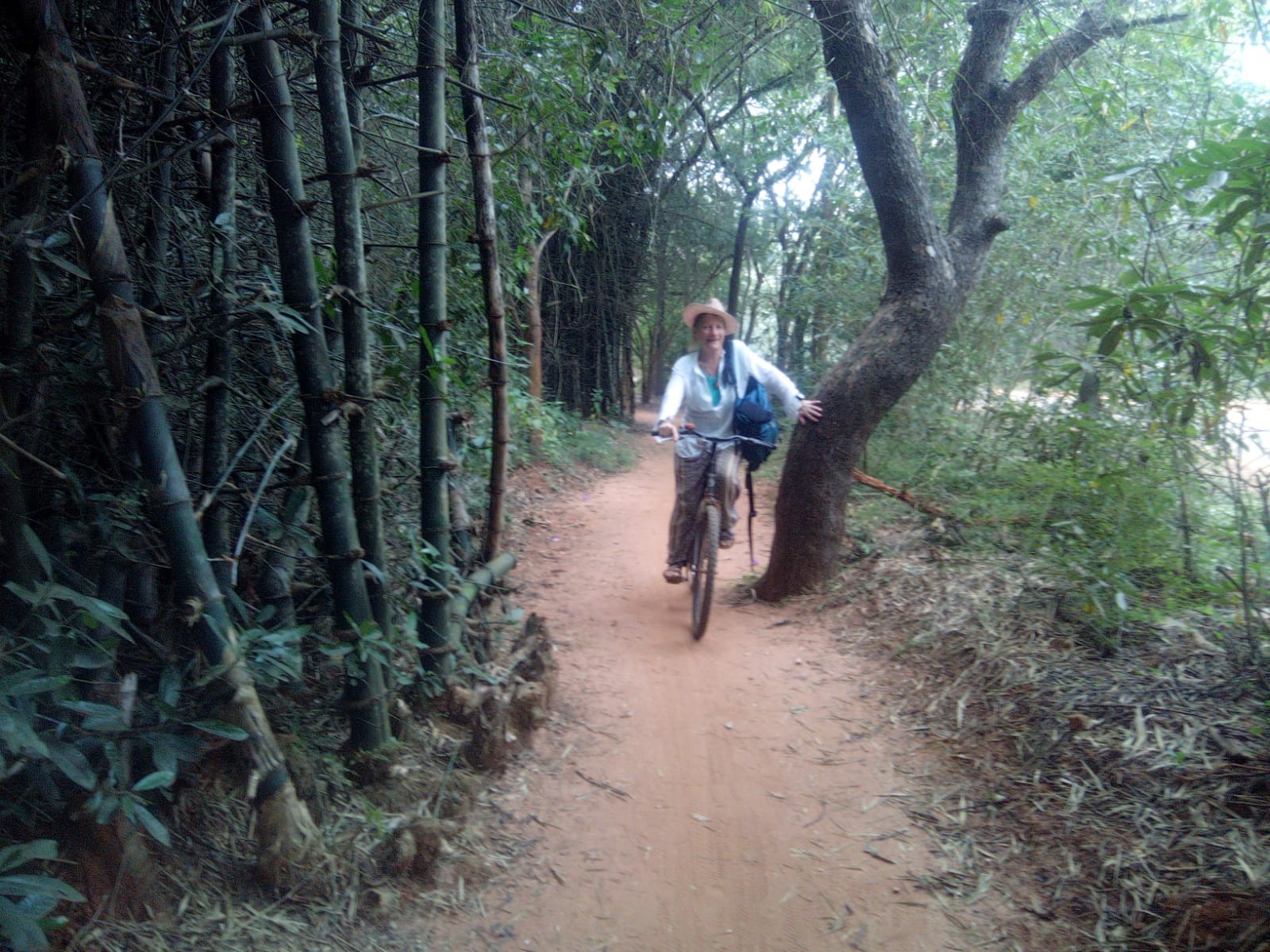 piste cyclable à Auroville: 